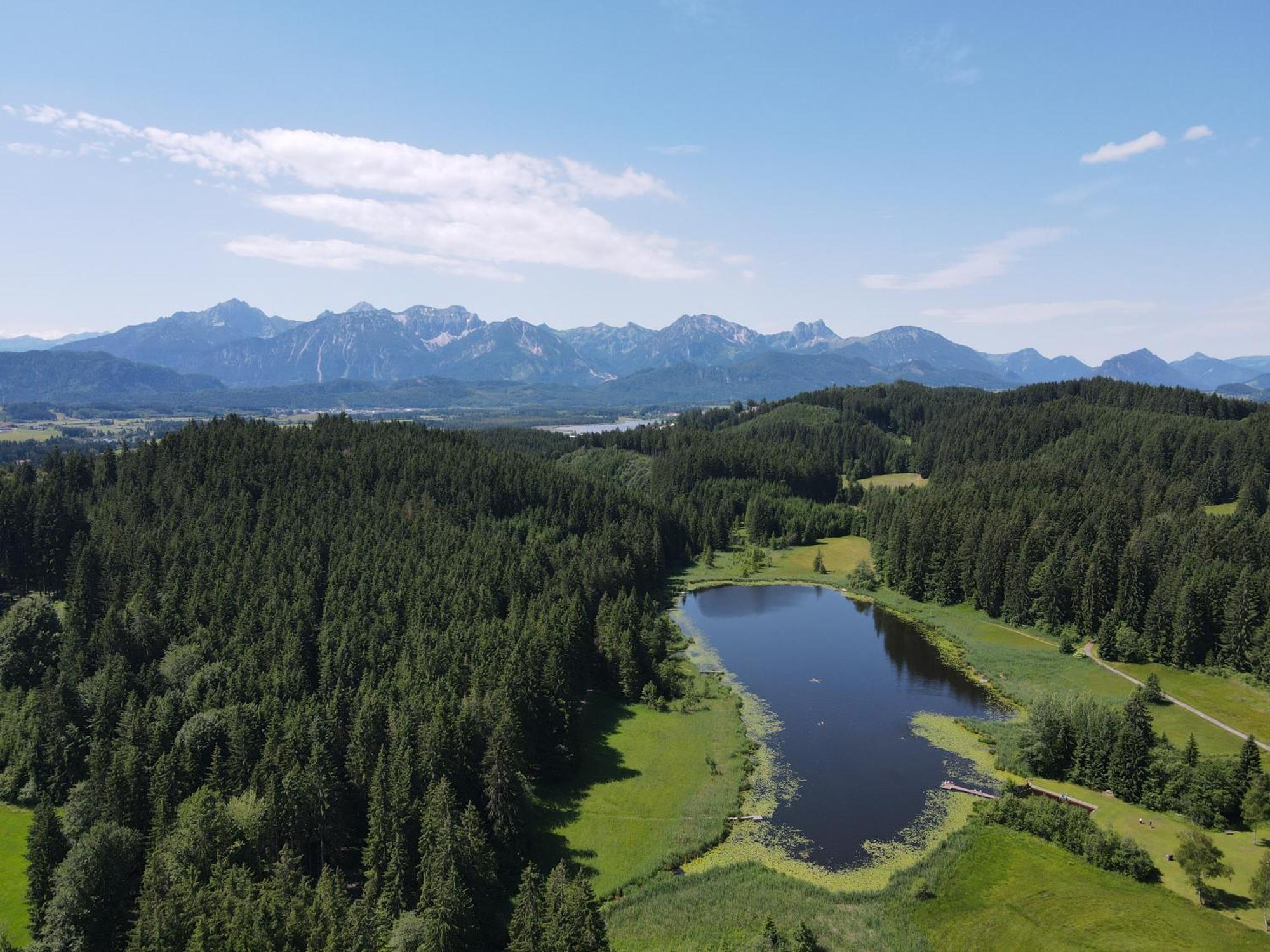 Chalet - Ferienwohnungen - Biohof Stoeger - Panoramasuedbalkon - Grandiose Aussicht Auf See, Berge Und Schloss Neuschwanstein Rieden Exterior foto
