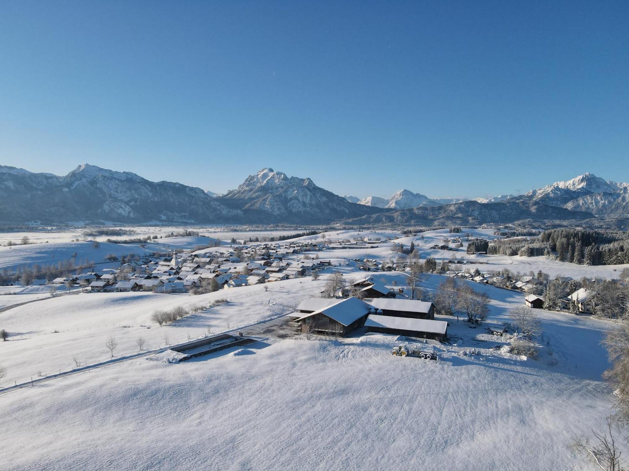 Chalet - Ferienwohnungen - Biohof Stoeger - Panoramasuedbalkon - Grandiose Aussicht Auf See, Berge Und Schloss Neuschwanstein Rieden Exterior foto